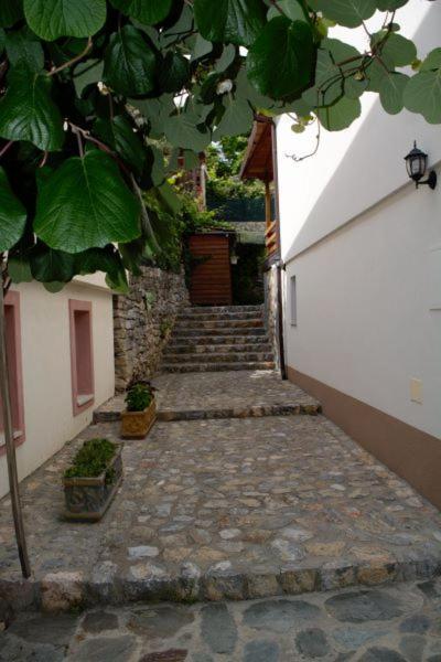 Villa Scandik Ohrid Exterior foto